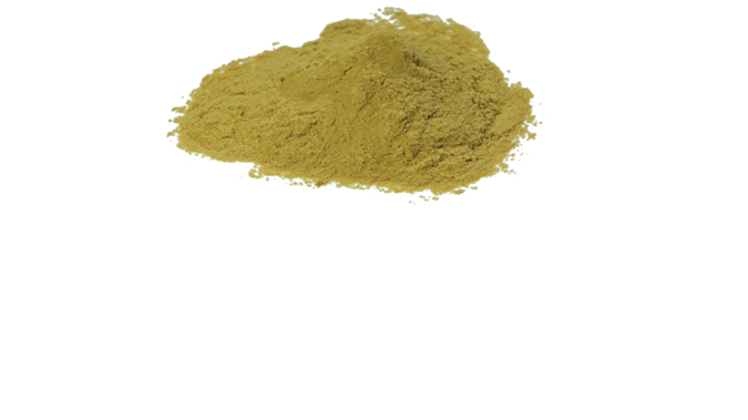 Malt Extract (Powder) – Non Diastatic