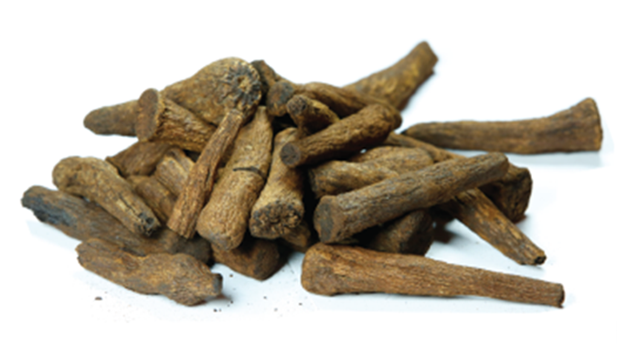 Roasted Chicory Roots (Hand Cut – Whole)